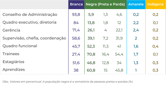 Distribuição por cor ou raça nos níveis hierárquicos