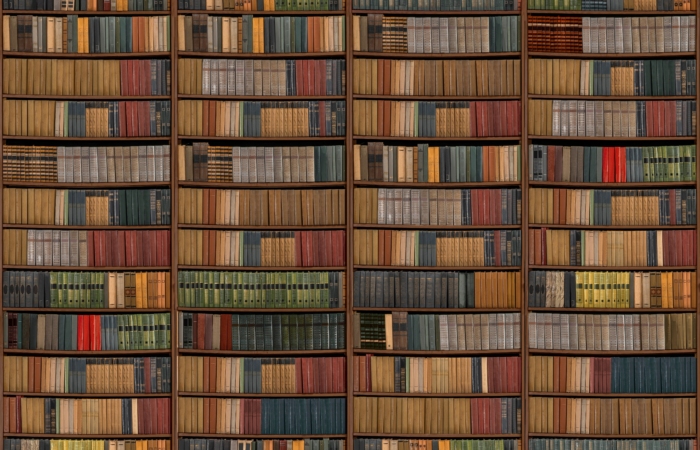 No Dia do Escritor, quatro sugestões de autores que ajudam a ampliar repertório